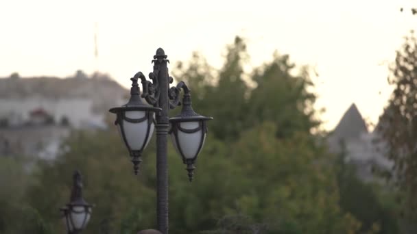 Designed streetlight lanterns with bulbs on black supports — Stock Video