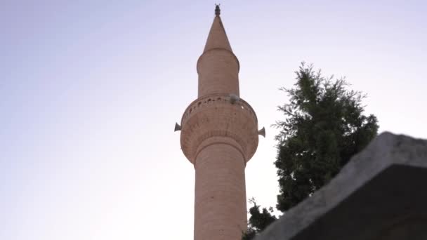 Grand minaret en brique brune haut de la mosquée célèbre monument — Video