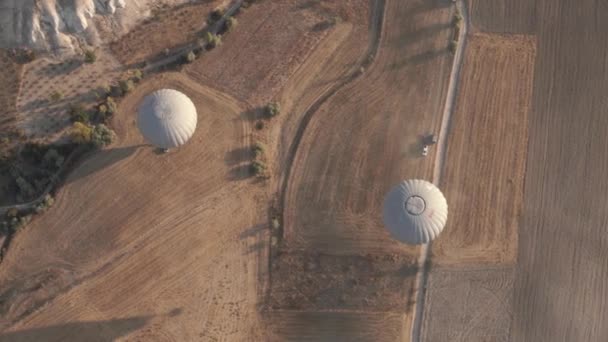 Белые воздушные шары летают над широкими коричневыми полями и дорогой — стоковое видео