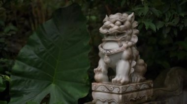 Beyaz mermer aslan heykeli Budistlerin tapınaktaki koruyucusu.