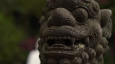 Tapınakta meditasyon yapan Buda heykelinin yanında aslan koruyucusu.