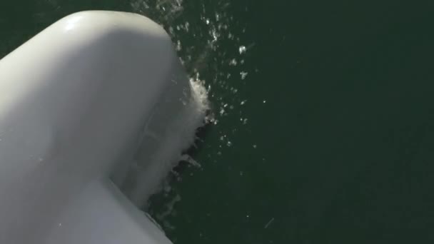 Τόξο του ισχυρού τουριστικού μηχανοκίνητου σκάφους ιστιοπλοΐα σε ήρεμο ωκεανό — Αρχείο Βίντεο