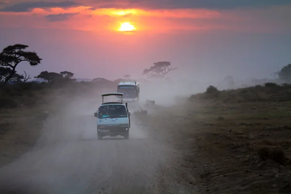 Afrika Safari oyun sürücü