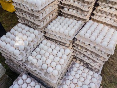 Beyaz yumurta yemek fotoğrafı, mor arkaplan kutusu, yumurta sarısı, protein, market, mutfak, yumurta kabuğu, sağlıklı taze kırılgan tavuk yumurtası, seçici odak, sığ alan derinliği, Kahire Mısır,