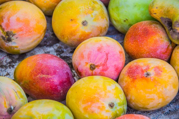 Tarım meyveleri çiftliği, taze renkli mango yiyeceği, sulu meyve, vitamin ve mineraller, yeşil ağaç, güneşli gün, seçici odak, sığ alan derinliği, İsmailia Mısır 'da çekilmiş