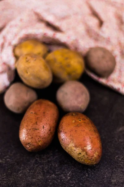 Multicolored authentic raw potatoes — Stock Photo, Image