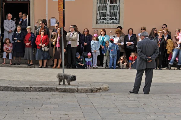 Hund uriniert neben Detektiv — Stockfoto