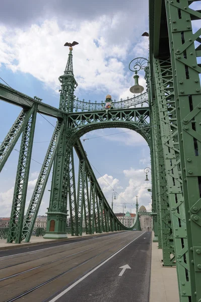 Özgürlük Köprüsü Budapeşte