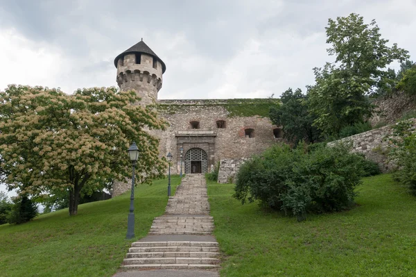 Buda castle вхід і Мейс башта — стокове фото