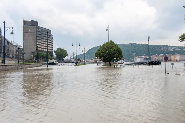 Overflowed Danube at Budapest — Stock Photo, Image