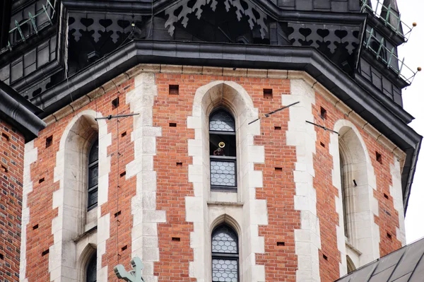 Hejnal Mariacki čípky — Stock fotografie