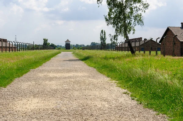 Auschwitz II - tren yolundan Birkenau rampa sektör için ben — Stok fotoğraf