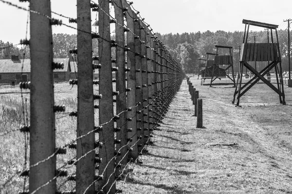 Auschwitz II - Birkenau elektrikli çit ve kuleleri — Stok fotoğraf