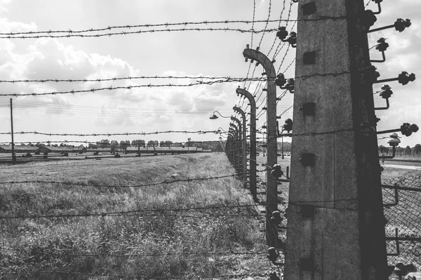 Auschwitz II - Birkenau elektrikli çit — Stok fotoğraf