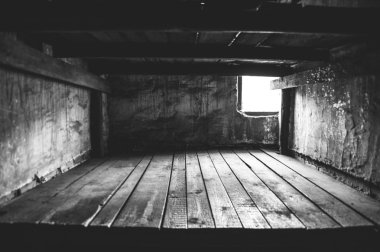 Auschwitz II - Birkenau barracks interior clipart