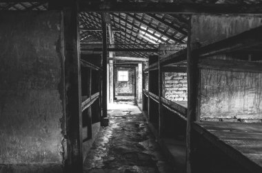 Auschwitz II - Birkenau iç Kışlası.