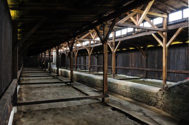 Auschwitz II - Birkenau ahşap iç Kışlası.