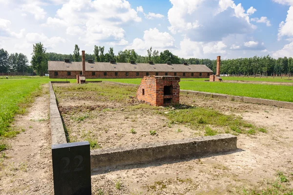 Auschwitz II - Birkenau sektörü II Harabeleri — Stok fotoğraf