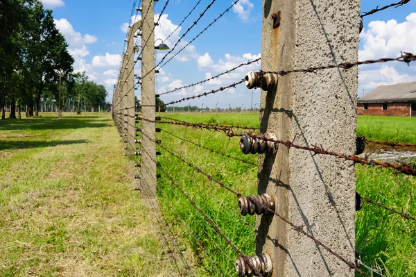 Auschwitz II - Birkenau elektrikli çit — Stok fotoğraf