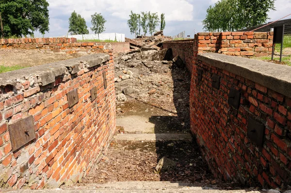 Auschwitz II - Birkenau'da krematoryum III — Stok fotoğraf