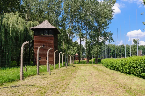 Auschwitz II - Birkenau Saat Kulesi — Stok fotoğraf
