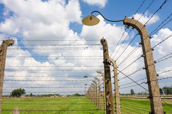 Auschwitz II - Birkenau elektrikli çit — Stok fotoğraf