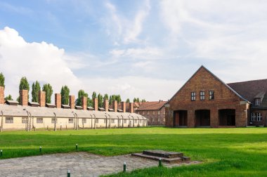 Auschwitz ı - Birkenau Resepsiyon