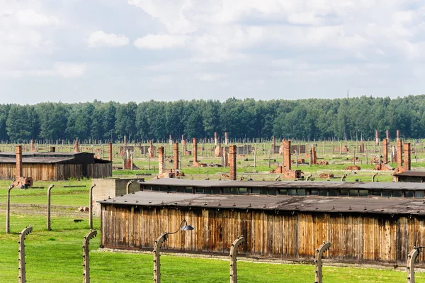 Auschwitz - Birkenau sektörü II — Stok fotoğraf