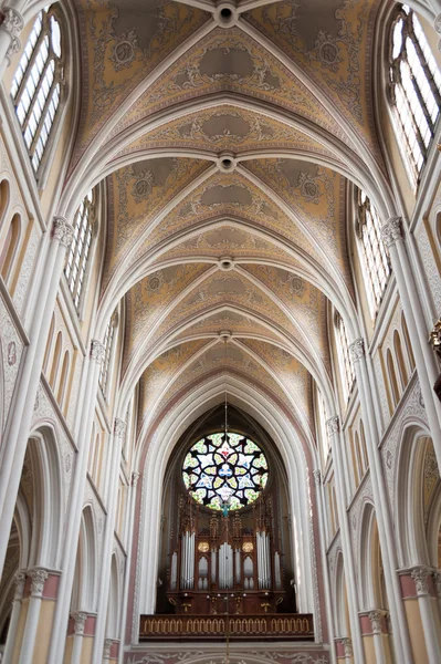 Katedra Najświętszej Maryi Panny w Radomiu — Zdjęcie stockowe