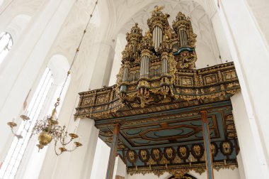 Merten'i Friese organ