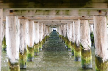Sopot iskele altında