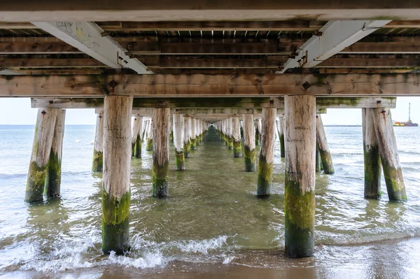 Sopot iskele altında