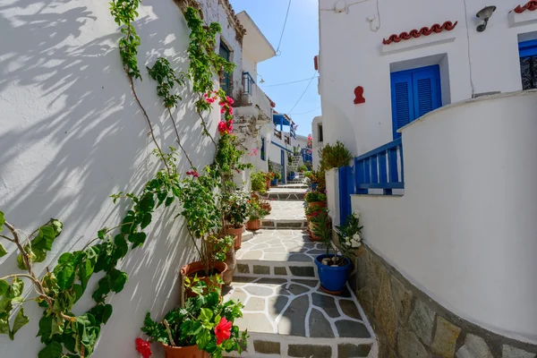 Stone slated alley with limewashed houses — Stock Photo, Image