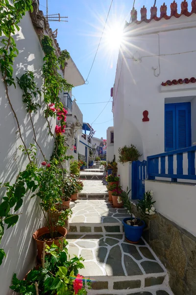 Stone slated alley with limewashed houses — Stock Photo, Image