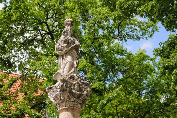 Bratislava Colonna Mariana Piazza Francescana — Foto Stock