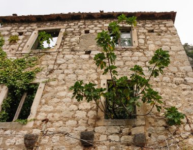 taş duvar kalıntıları