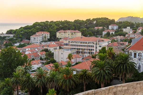 Dubrovnik nouvelle ville — Photo