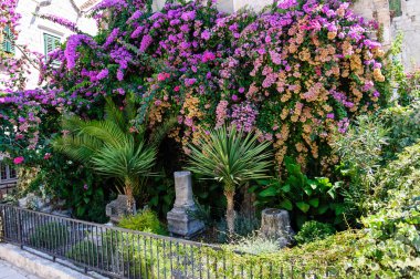 Split, Hırvatistan Bahçe