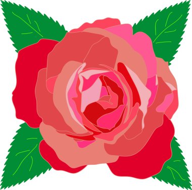 Kırmızı gül öğesi