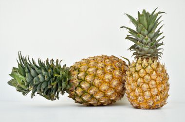 izole bir ananas