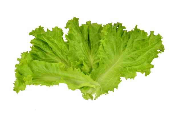 A lettuce isolated — Stock Photo, Image