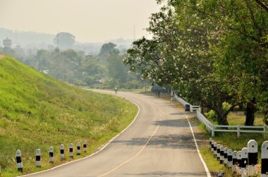 Güzel yolun ortasında güzel ağaç