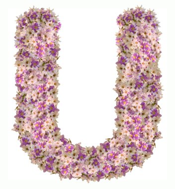 A harfi alfabe Abc çiçekli 