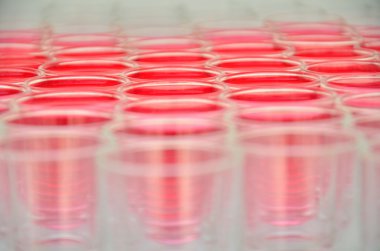 Vesikalık içeceği