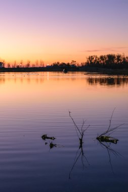 Zaragoza, İspanya, 1 Mart 2016. Günbatımı bitki örtüsü ile bir gölde. Lake Plaza sonbahar