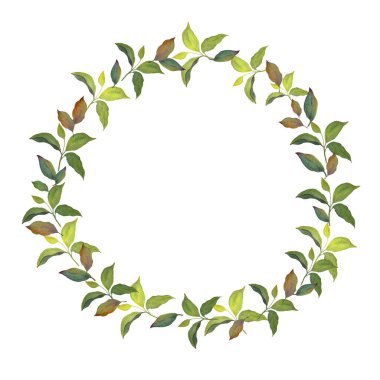 El boyası suluboya yeşil yapraklı çelenk dairesel botanik çerçeveye yerleştirilmiş. Yumuşak organik dokuya sahip doğal yaprak dalları havadar ve zarif bir çelenk tasarımı yaratır. Düğün davetiyeleri, tebrik kartları, markalar, logolar, istasyon tasarımları için mükemmeldir.