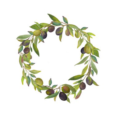 Yeşil ve siyah zeytinli zeytin dallarından yapılmış suluboya zeytin çelengi. Akdeniz usulü el yapımı botanik çizimi. Davetiyeler için mükemmel, zeytinyağı ambalajı, organik, gıda etiketleri, düğün tasarımı, kırtasiye malzemeleri
