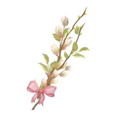 Yumuşak tomurcukları, taze yeşil yaprakları ve nazik bir yayı olan narin bir dalı içeren suluboya bahar botanik kompozisyonu. Bu çiçek çizimi mevsimlik tasarımlar, tebrik kartları, davetiyeler, düğün kırtasiyeleri için mükemmel.