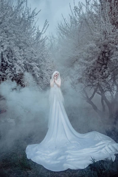 Όμορφη Γυναίκα Λευκό Άνθος Κερασιάς — Φωτογραφία Αρχείου