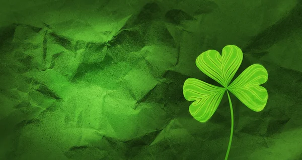 Shamrock Blatt Kleeblatt Hintergrund — Stockfoto